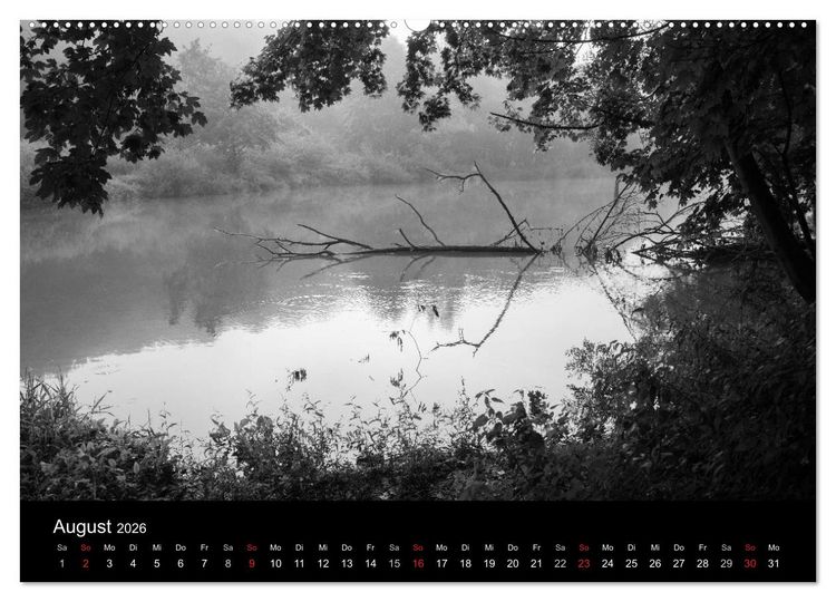 Produktbild: B&auml;ume trees 2026 (Wandkalender 2026 DIN A2 quer), CALVENDO Monatskalender