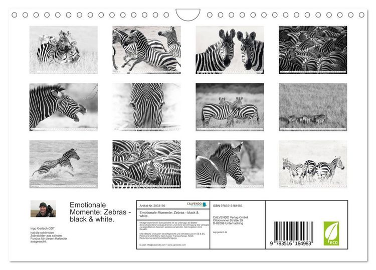 Produktbild: Emotionale Momente: Zebras - black & white. (Wandkalender 2026 DIN A4 quer), CALVENDO Monatskalender