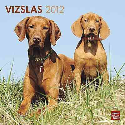 Produktbild: Vizslas 2012 Calendar