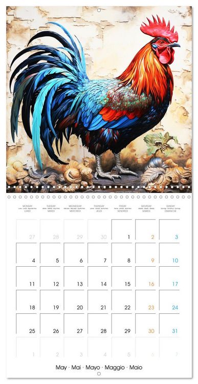 Produktbild: Coqs de nos campagnes (Calendrier mural carr&eacute; 2026 30x30 cm) Calendrier double avec une page pour vos prises de notes