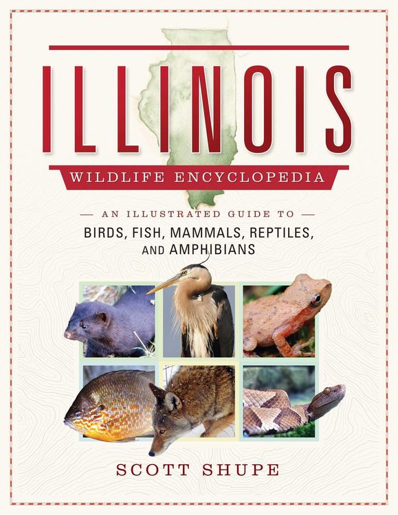 Produktbild: The Illinois Wildlife Encyclopedia