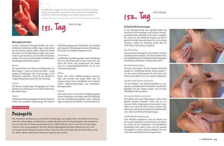 Produktbild: Meine Schwangerschaft