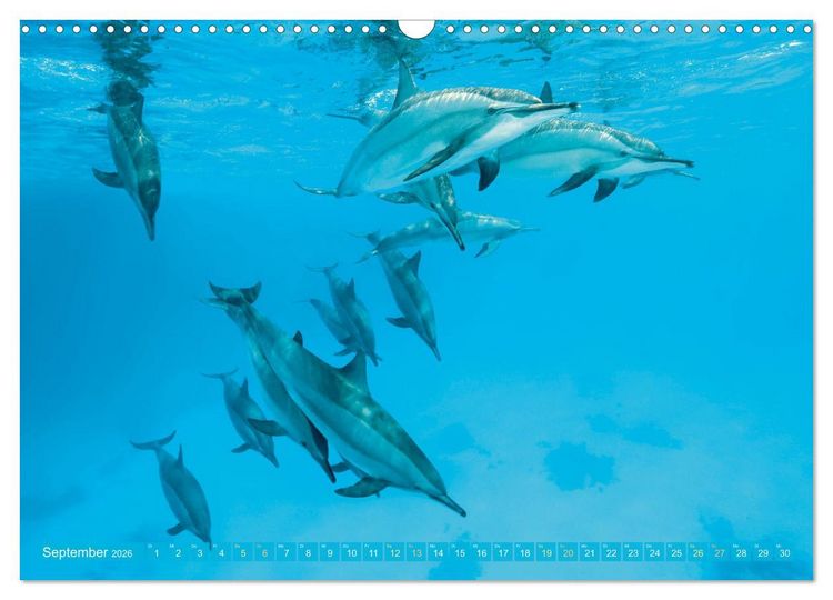 Produktbild: Planet Wasser: Von wegen Planet Erde (Wandkalender 2026 DIN A3 quer), CALVENDO Monatskalender