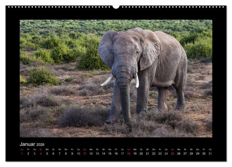 Produktbild: S&uuml;dafrika - Garden Route (hochwertiger Premium Wandkalender 2026 DIN A2 quer), Kunstdruck in Hochglanz