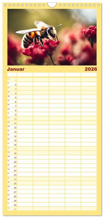 Produktbild: Familienplaner 2026 - Filigrane Insekten mit 5 Spalten (Wandkalender, 21 x 45 cm) CALVENDO