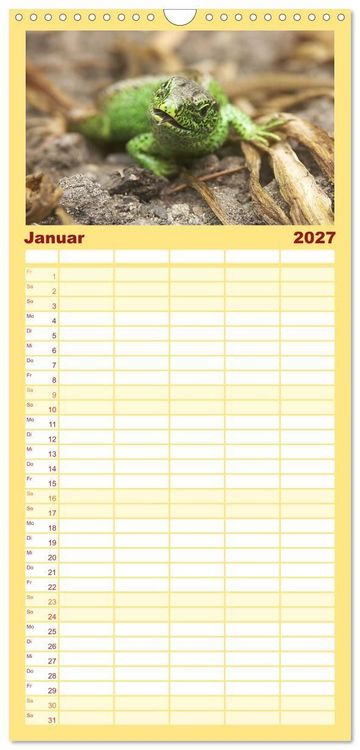 Produktbild: Familienplaner 2027 - Minisaurier im Garten mit 5 Spalten (Wandkalender, 21 x 45 cm) CALVENDO