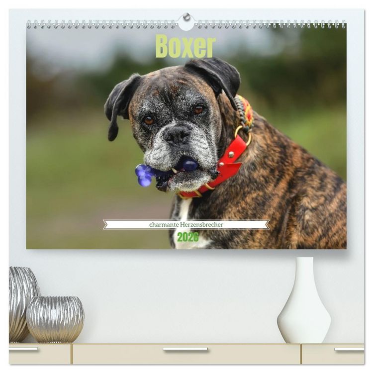 Produktbild: Boxer - charmante Herzensbrecher (hochwertiger Premium Wandkalender 2026 DIN A2 quer), Kunstdruck in Hochglanz