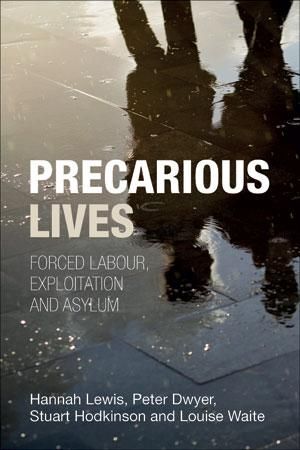 Produktbild: Precarious Lives