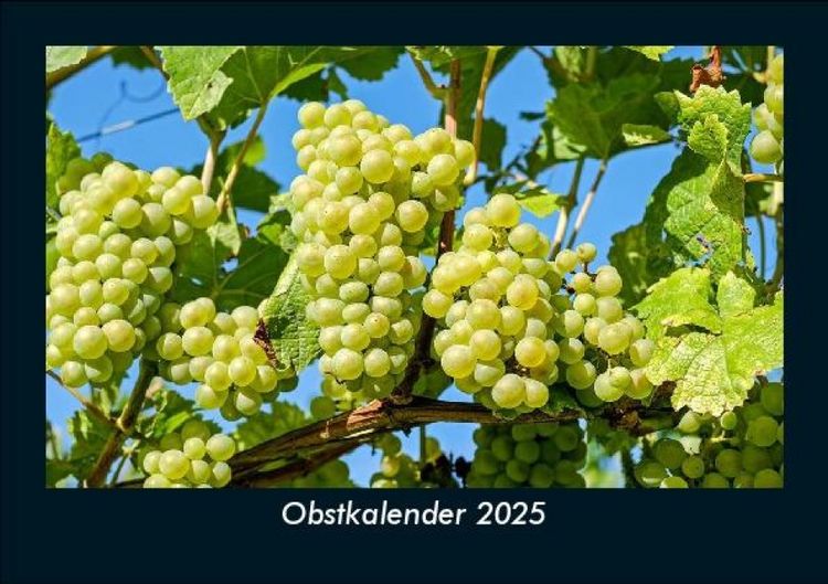 Produktbild: Obstkalender 2025 Fotokalender DIN A5