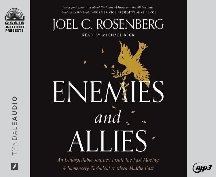 Produktbild: Enemies and Allies