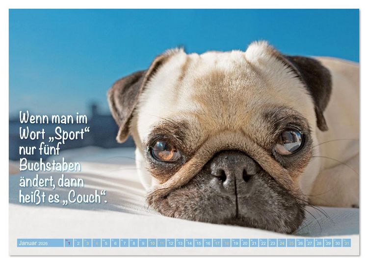 Produktbild: L&auml;cheln mit Mops (Wandkalender 2026 DIN A4 quer), CALVENDO Monatskalender