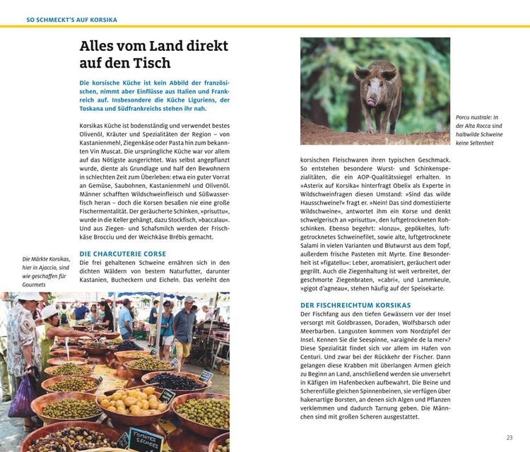 Produktbild: ADAC Reiseführer plus Korsika