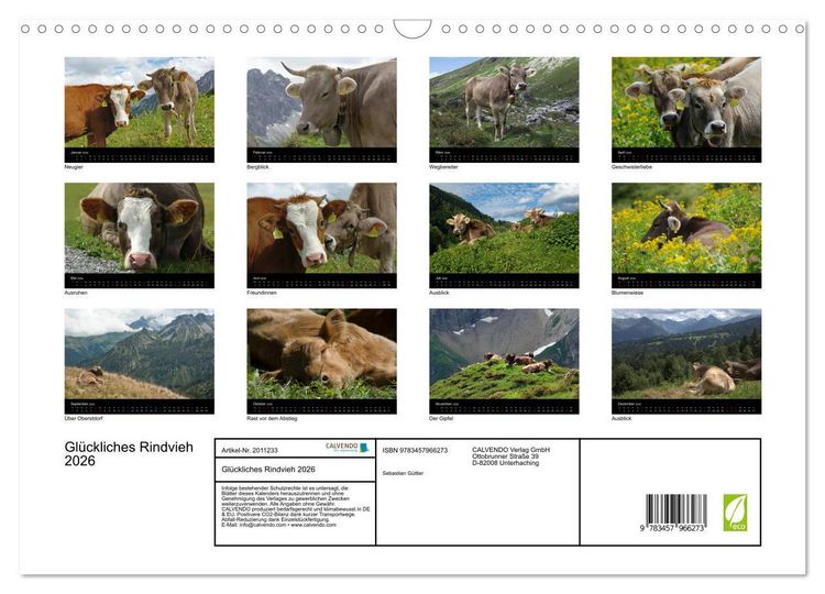 Produktbild: Gl&uuml;ckliches Rindvieh 2026 (Wandkalender 2026 DIN A3 quer), CALVENDO Monatskalender