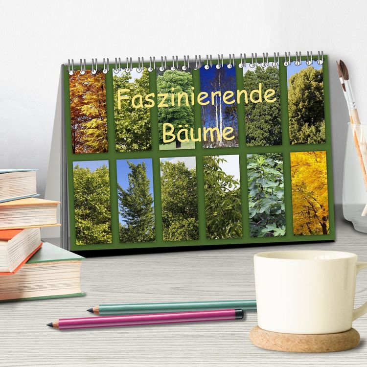 Produktbild: Faszinierende B&auml;ume (Tischkalender 2026 DIN A5 quer), CALVENDO Monatskalender