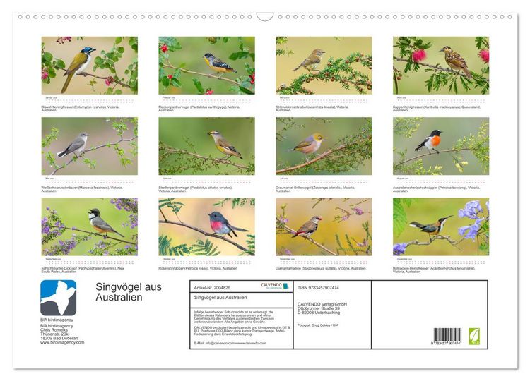 Produktbild: Singv&ouml;gel aus Australien (Wandkalender 2026 DIN A2 quer), CALVENDO Monatskalender