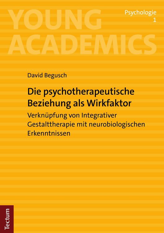 Produktbild: Die psychotherapeutische Beziehung als Wirkfaktor