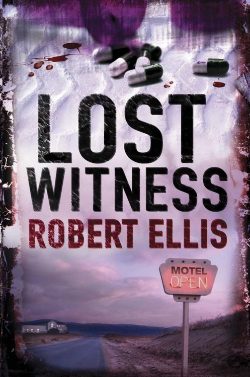 Produktbild: The Lost Witness