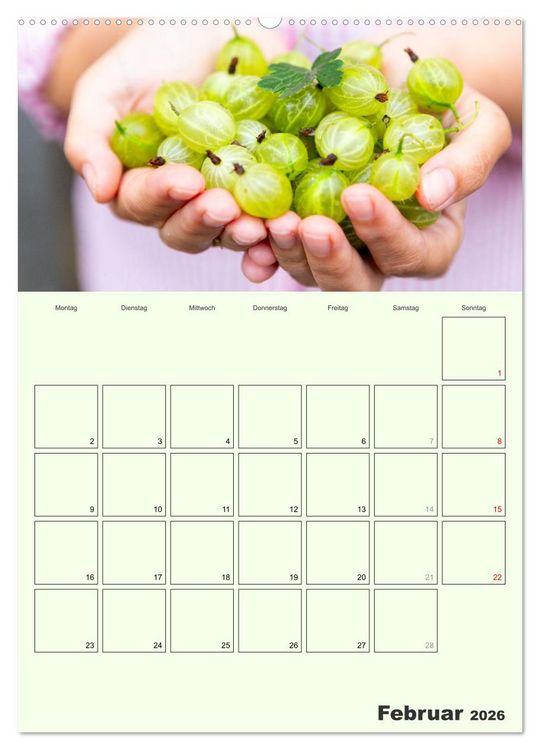 Produktbild: Obst Kalender - GESUND DURCH DAS JAHR (hochwertiger Premium Wandkalender 2026 DIN A2 hoch), Kunstdruck in Hochglanz