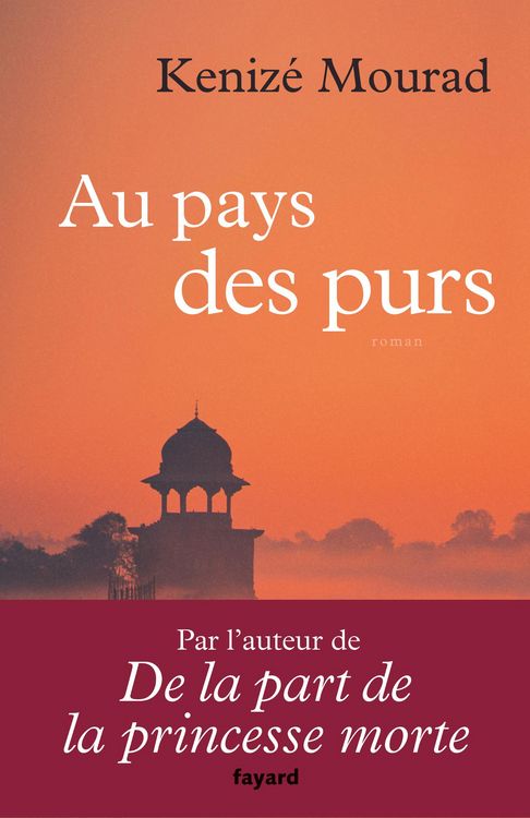 Produktbild: Au pays des purs