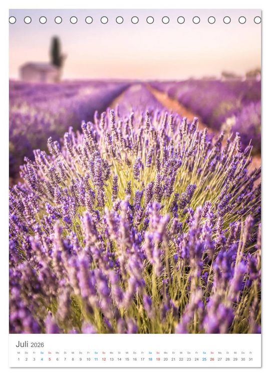 Produktbild: Provence im Licht (Tischkalender 2026 DIN A5 hoch), CALVENDO Monatskalender