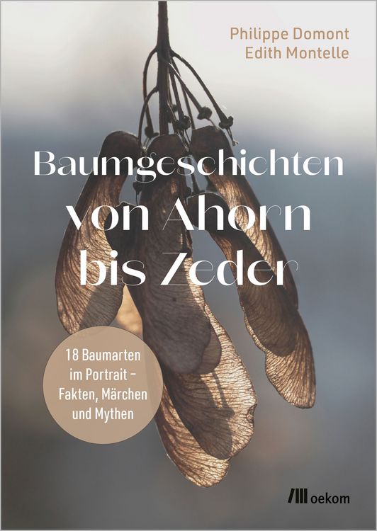 Produktbild: Baumgeschichten von Ahorn bis Zeder