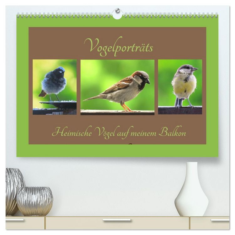 Produktbild: Vogelportr&auml;ts - Heimische V&ouml;gel auf meinem Balkon (hochwertiger Premium Wandkalender 2026 DIN A2 quer), Kunstdruck in Hochglanz