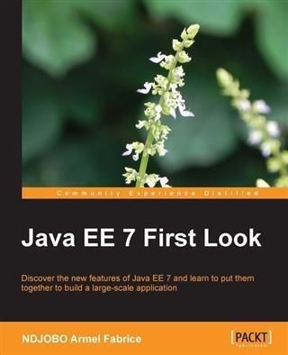 Produktbild: Java EE 7 First Look