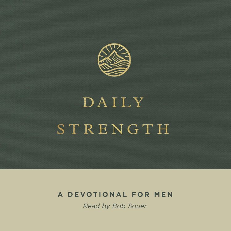 Produktbild: Daily Strength