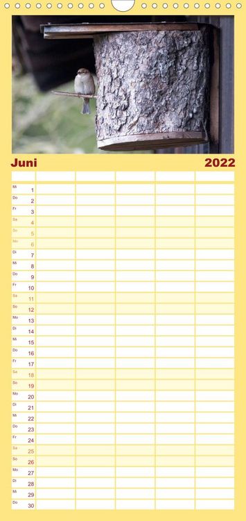 Produktbild: Familienplaner Gartenv&ouml;gel (Wandkalender 2022 , 21 cm x 45 cm, hoch)