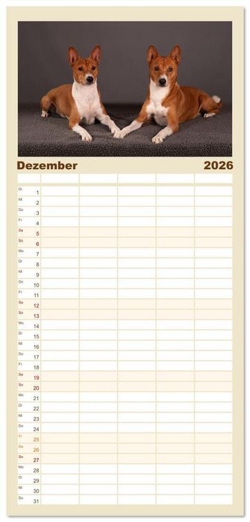Produktbild: Familienplaner 2026 - Der Basenji mit 5 Spalten (Wandkalender, 21 x 45 cm) CALVENDO