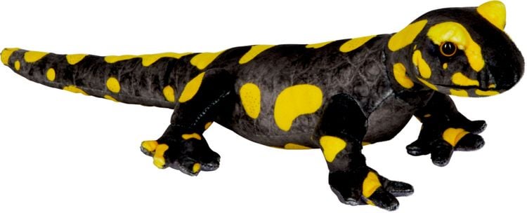 Produktbild: Feuersalamander - Nature Zoom Wild
