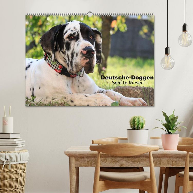 Produktbild: Deutsche Doggen - Sanfte Riesen (Wandkalender 2026 DIN A2 quer), CALVENDO Monatskalender