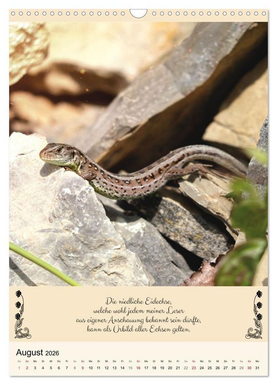 Produktbild: Buntes Tierleben (Wandkalender 2026 DIN A3 hoch), CALVENDO Monatskalender