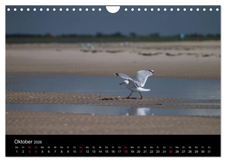 Produktbild: Amrumer Impressionen (Wandkalender 2026 DIN A4 quer), CALVENDO Monatskalender