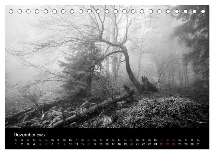 Produktbild: Monochrom 2026 (Tischkalender 2026 DIN A5 quer), CALVENDO Monatskalender
