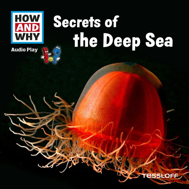 Produktbild: Secrets Of The Deep Sea