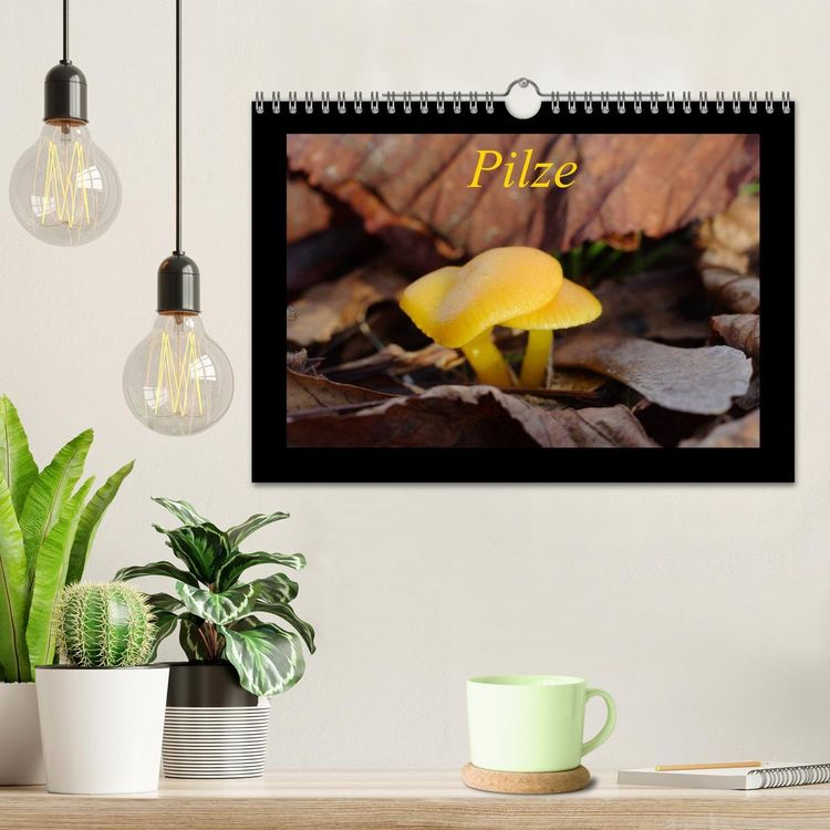 Produktbild: Pilze (Wandkalender 2026 DIN A4 quer), CALVENDO Monatskalender