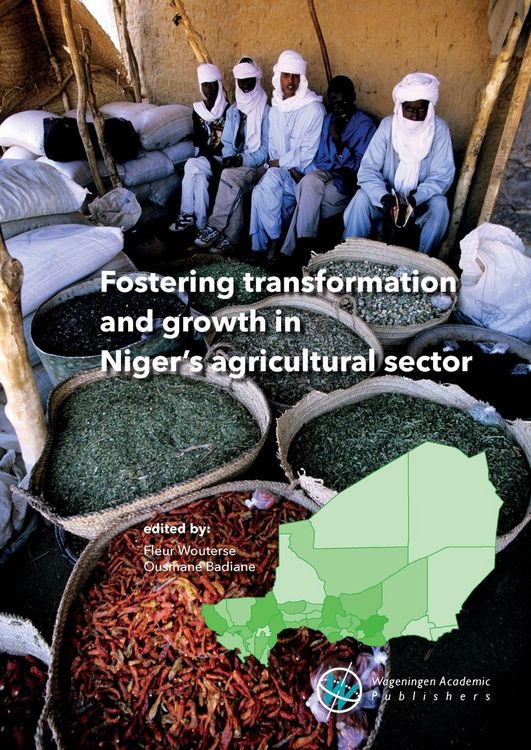 Produktbild: Fostering Transformation and Growth in Niger's Agricultural Sector