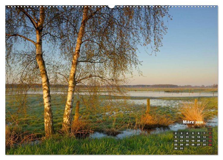 Produktbild: Die Dingdener Heide im Wandel der Jahreszeiten (Wandkalender 2026 DIN A2 quer), CALVENDO Monatskalender