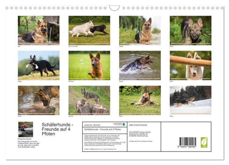 Produktbild: Sch&auml;ferhunde - Freunde auf 4 Pfoten (Wandkalender 2026 DIN A3 quer), CALVENDO Monatskalender