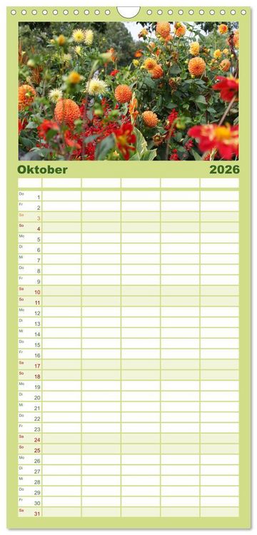 Produktbild: Familienplaner 2026 - Traumhafte Dahlien mit 5 Spalten (Wandkalender, 21 x 45 cm) CALVENDO