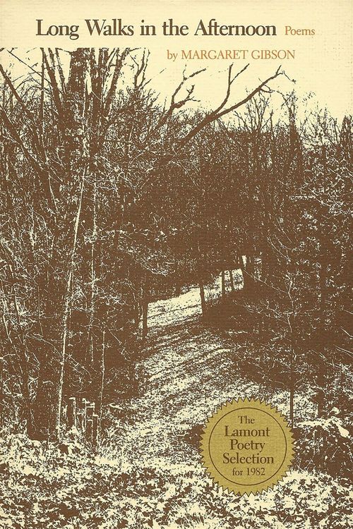 Produktbild: Long Walks in the Afternoon