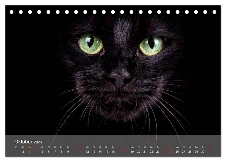 Produktbild: Katzen 2026 Bezaubernde Samtpfoten (Tischkalender 2026 DIN A5 quer), CALVENDO Monatskalender