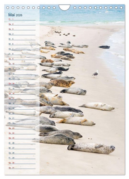 Produktbild: Maritim - Geburtstagskalender (Wandkalender 2026 DIN A4 hoch), CALVENDO Monatskalender