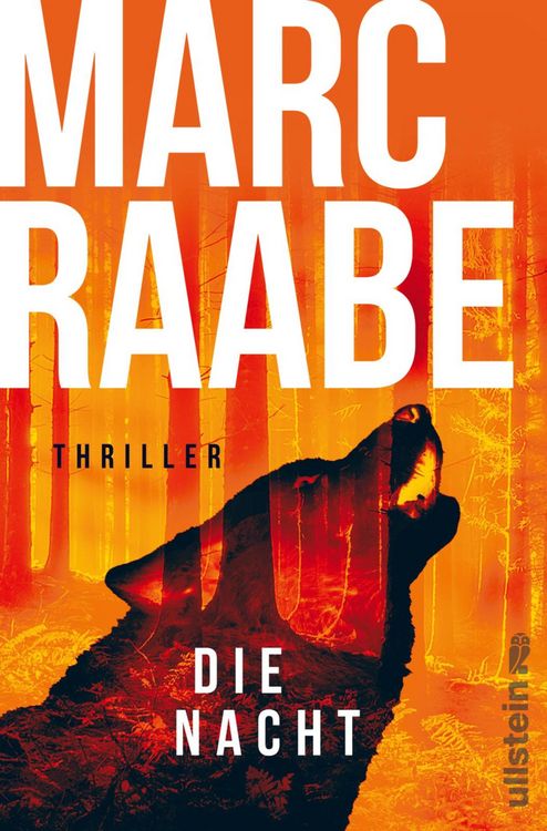 Bild vom Artikel Die Nacht vom Autor Marc Raabe
