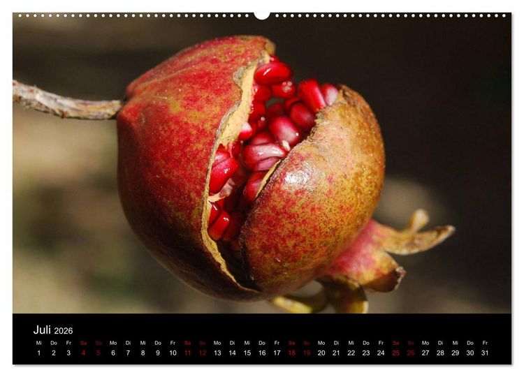Produktbild: Erfrischend fruchtig (Wandkalender 2026 DIN A2 quer), CALVENDO Monatskalender
