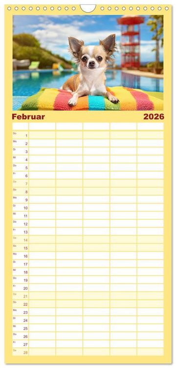 Produktbild: Familienplaner 2026 - Chillige Chihuahuas - Entspannte Fellnasen genie&szlig;en das Leben mit 5 Spalten (Wandkalender, 21 x 45 cm) CALVENDO