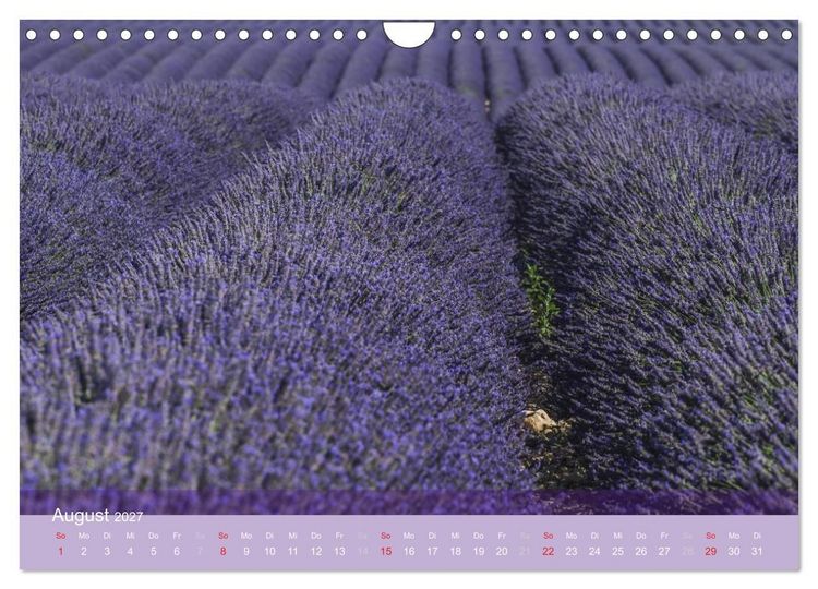 Produktbild: Die Farbe des Lavendels (Wandkalender 2027 DIN A4 quer), CALVENDO Monatskalender