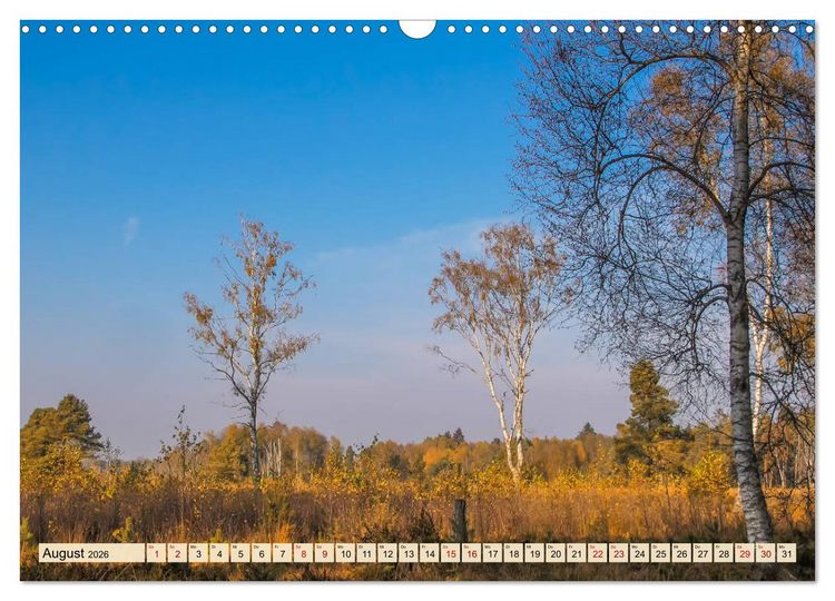 Produktbild: Herbst im Schwenninger Moos (Wandkalender 2026 DIN A3 quer), CALVENDO Monatskalender