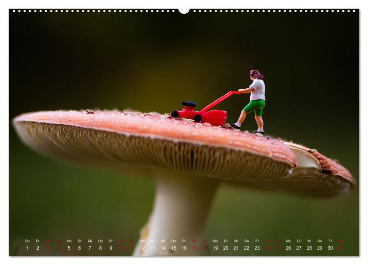 Produktbild: H&ouml;her, schneller, kleiner - Miniaturen in unserem Alltag (Wandkalender 2026 DIN A2 quer), CALVENDO Monatskalender